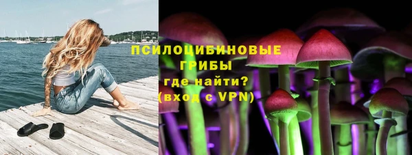синтетический гашиш Пролетарск