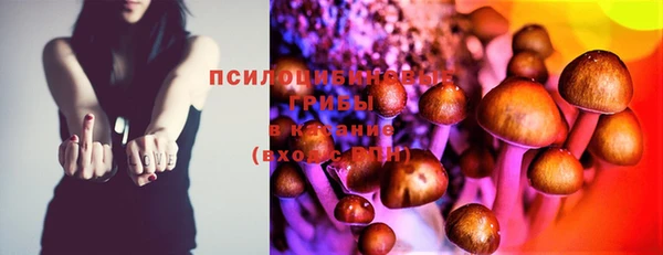 синтетический гашиш Пролетарск