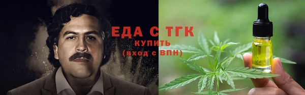мдпв Протвино