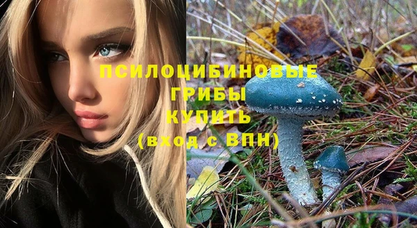 синтетический гашиш Пролетарск