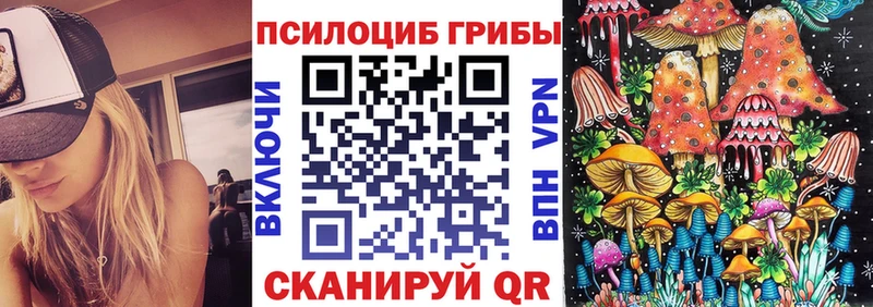 Галлюциногенные грибы Psilocybe Поронайск