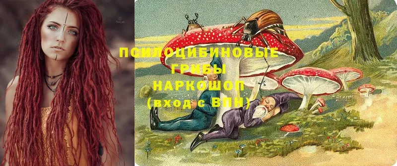 Псилоцибиновые грибы Magic Shrooms  Поронайск 